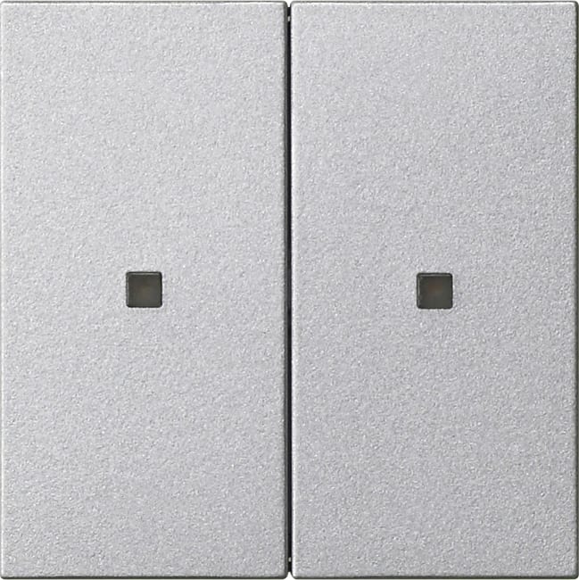 GIRA GIR536926 Wippe 2f unbedruckt Kontrollf. System 55