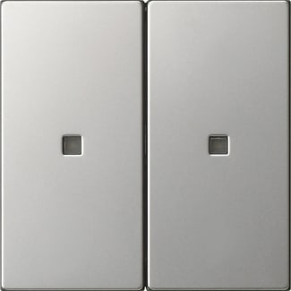 GIRA - GGI5369600 Wippe 2f unbedruckt Kontrollf. System 55