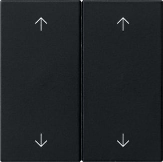 GIRA - GIR5387005 Wippe 2f Pfeile System 55 Schwarz m