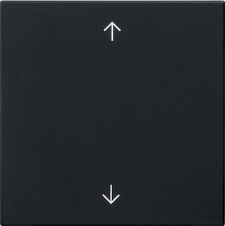 GIRA GIR5389005 Wippe 1f Pfeile System 55 Schwarz m