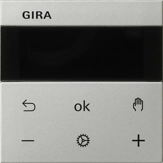 GIRA - GGI5393600 S3000 RTR Display System 55 Edelstahl