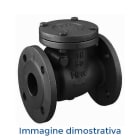 DAB PUMPS SPA - DAB60160630 VALVOLA DI RITEGNO A PALLA DN65 DAB