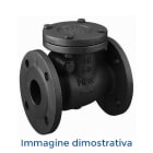 DAB PUMPS SPA - DAB60160631 VALVOLA DI RITEGNO A PALLA DN 80 DAB
