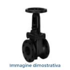 DAB PUMPS SPA - DAB60163811 VALV A SARACINESCA CORPO PIATTO DN 50