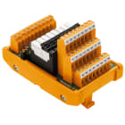 WEIDMULLER - WEI1456970000 RSMS-16 24V+ 1CO S