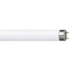 SIGNIFY ITALY SPA - PHL36831MNG MASTER TL-D Super 80 - Fluorescent lamp - Consumo energetico: 36.6 W - Classe di efficienza energetica: G - Temperatura di colore correlata (Nom):