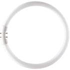 SIGNIFY ITALY SPA - PHLTL5C4083 MASTER TL5 CIRCULAR 40W/830 1CT/10