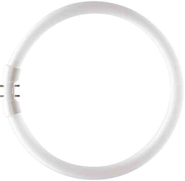 SIGNIFY ITALY SPA - PHLTL5C2284 MASTER TL5 CIRCULAR 22W/840 1CT/10