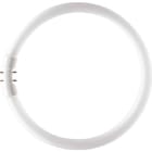 SIGNIFY ITALY SPA - PHLTL5C5583 MASTER TL5 CIRCULAR 55W/830 1CT/10