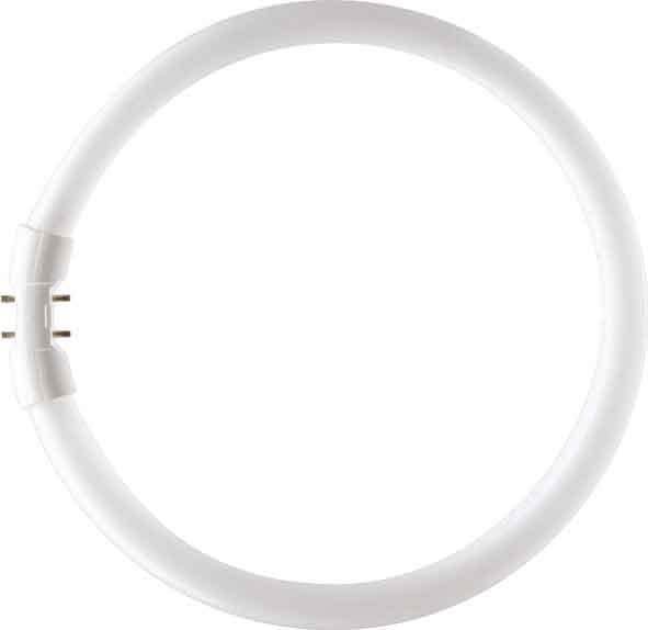 SIGNIFY ITALY SPA - PHLTL5C5583 MASTER TL5 CIRCULAR 55W/830 1CT/10