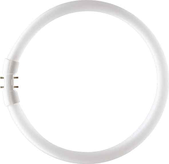 SIGNIFY ITALY SPA - PHLTL5C5583 MASTER TL5 CIRCULAR 55W/830 1CT/10