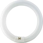 SIGNIFY ITALY SPA - PHLE2284 MASTER TL-E Circular Super 80 - Fluorescent lamp - Consumo energetico: 22.2 W - Classe di efficienza energetica: G