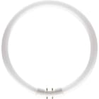 SIGNIFY ITALY SPA - PHLTL5C6083 MASTER TL5 CIRCULAR 60W/830 1CT/10