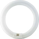 SIGNIFY ITALY SPA PHLE4083 MASTER TL-E Circular Super 80 - Fluorescent lamp - Consumo energetico: 40.8 W - Classe di efficienza energetica: G