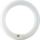 SIGNIFY ITALY SPA PHLE4084 MASTER TL-E Circular Super 80 - Fluorescent lamp - Consumo energetico: 40.8 W - Classe di efficienza energetica: G