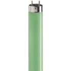 SIGNIFY ITALY SPA PHL1817V TL-D Colored - Fluorescent lamp - Consumo energetico: 18.0 W
