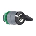 SCHNEIDER ELECTRIC SNRZB5AG4C0 TESTA SELETT.CHIAVE 2 POS. GHIERA GRIGIA