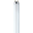 LEDVANCE - LDVL1577 L 15W/77 FLH1 OSRAM