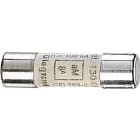 LEGRAND - LEG013312 Zylindersicherung GG 10X38/ 12A