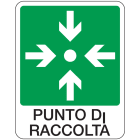OCMEI SRL OCM6CR1773-A CART.100X120MM PUNTO DI RACCOLTA