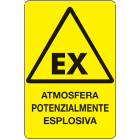 OCMEI SRL - OCM6CR457-B CART.PERICOLOF.TO MM 330X500