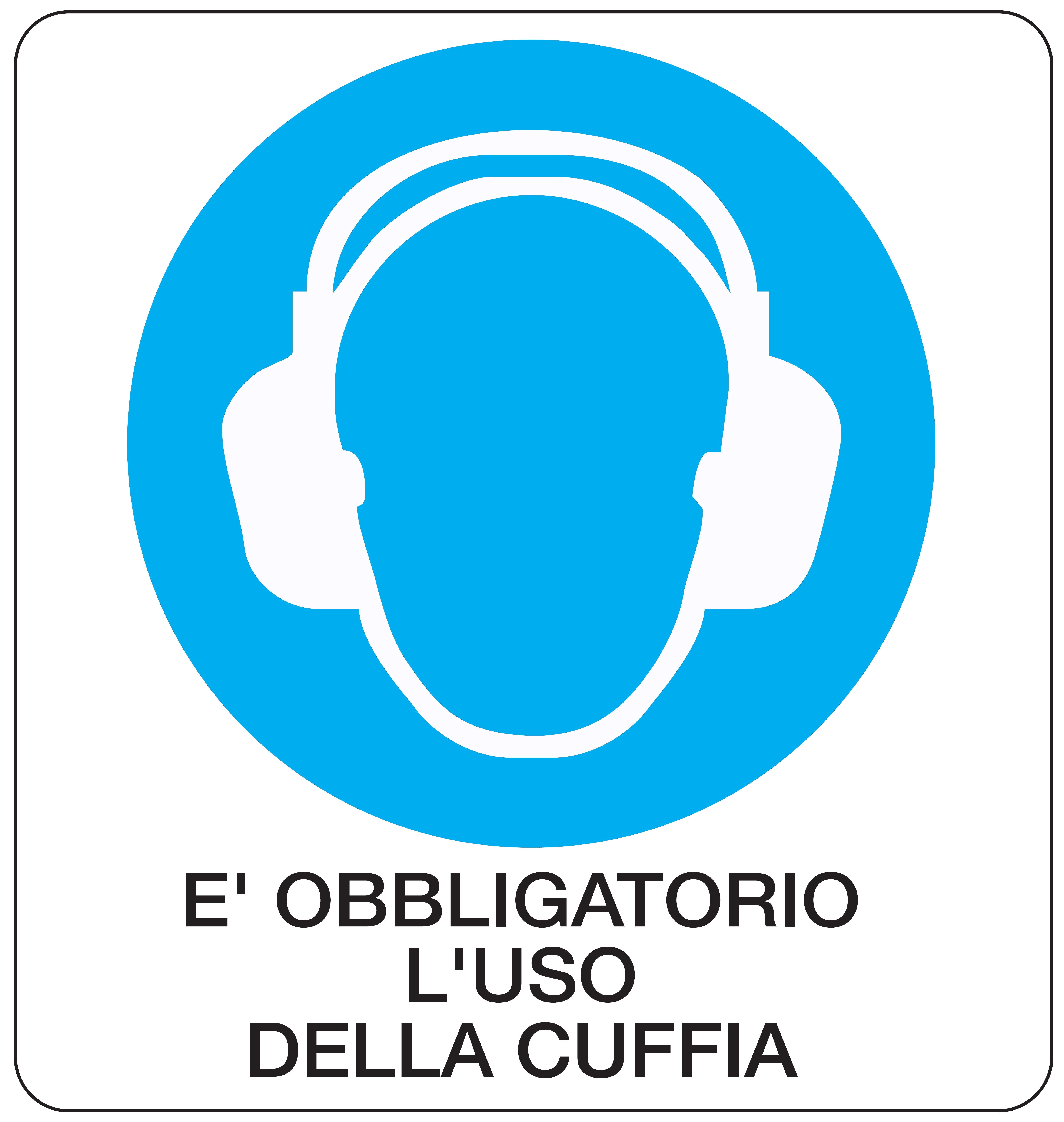 OCMEI SRL - OCM6CR964-B CART.OBBLIGO F.TO MM 330X350