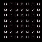 OCMEI SRL - OCM6ET2488/L1 CF.10F ETICH.L1 D.10 (49XFOGLIO)