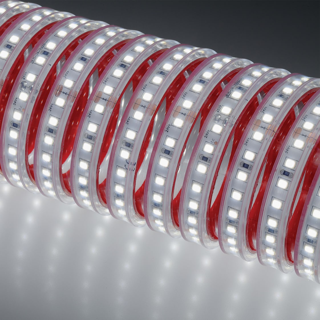 NOBILE ITALIA NOB70102/F STRIP 5M 11W/M 238LED/M 6K IP67 24V