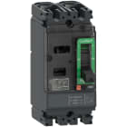 SCHNEIDER ELECTRIC - SNRC10M2TM025 Interruttore, ComPacT NSX100M AC/DC, 25kA/415VAC, 2 poli, Sganciatore TMD 25A
