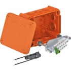 OBO BETTERMANN OBO7205550 T 100 ED 66 F SCATOLA FIREBOX