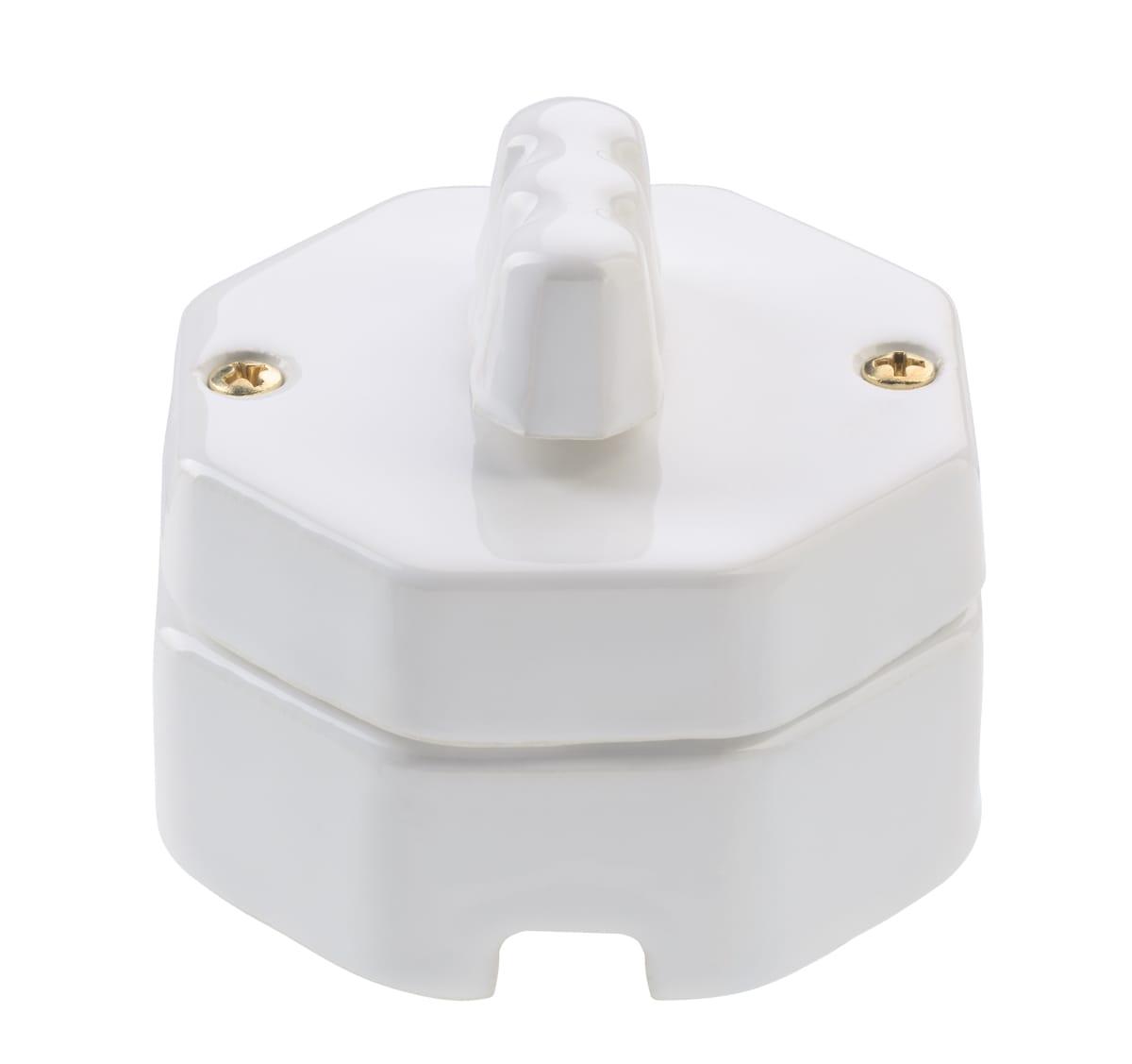 LE PROLUNGHE SAS PRG7260 INTERRUTTORE ROTATIVO 10A 250V OTTAGONO