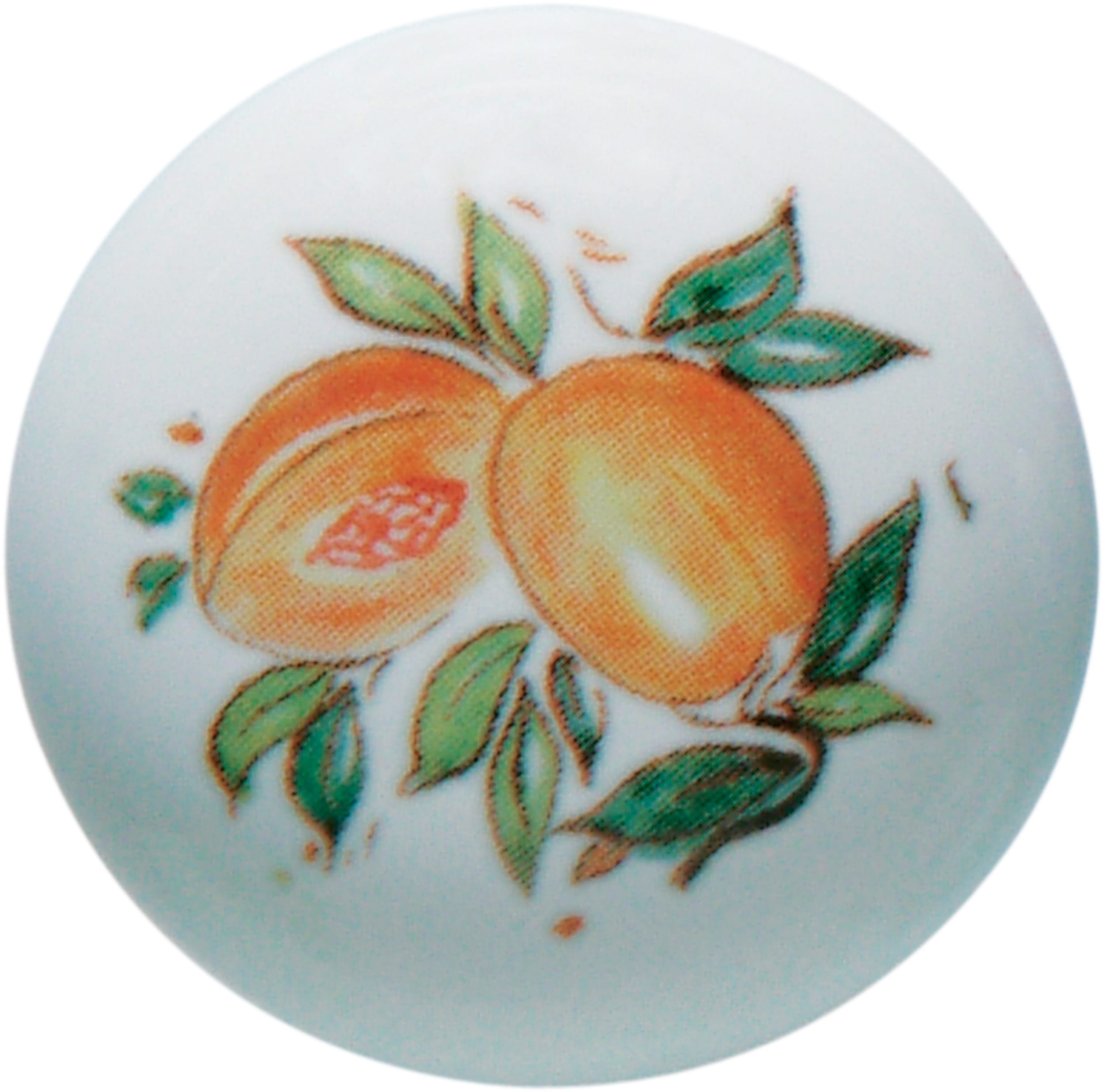 LE PROLUNGHE SAS PRG7901/AL POMELLO PORC. D.3.5CM COMPL.VITE ALBICOC