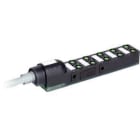 MURRELEKTRONIK SRL - MUE8000800103850500 EXACT8 10XM8 3 POLI, CAVO PRESSOFUSO