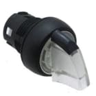 ROCKWELL AUTOMATION - RCK800FP-LSR37 22MM SELECTOR SWITCH 800F PB