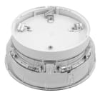 NOTIFIER ITALIA SR NOTBRH-PC-I02 PREM DB S/STROBE EN54-23 C-CAT NOTIFIER