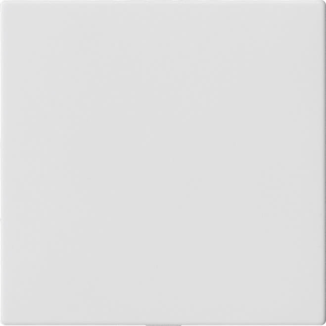 GIRA - GIR810827 Blindabd. o.Tragring System 55 Reinweiss