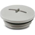 PHOENIX CONTACT - PHC1424520 A-INSP-M25-68N-P-LG TAPPO