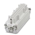 PHOENIX CONTACT - PHC1423022 HC-B24-I-TPT-F INSERTO