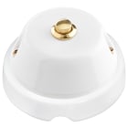 LE PROLUNGHE SAS - PRG8673/B PULSANTE TASTO OTTONATO 6A CON BASE 2.0