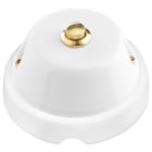 LE PROLUNGHE SAS PRG8673/B PULSANTE TASTO OTTONATO 6A CON BASE 2.0