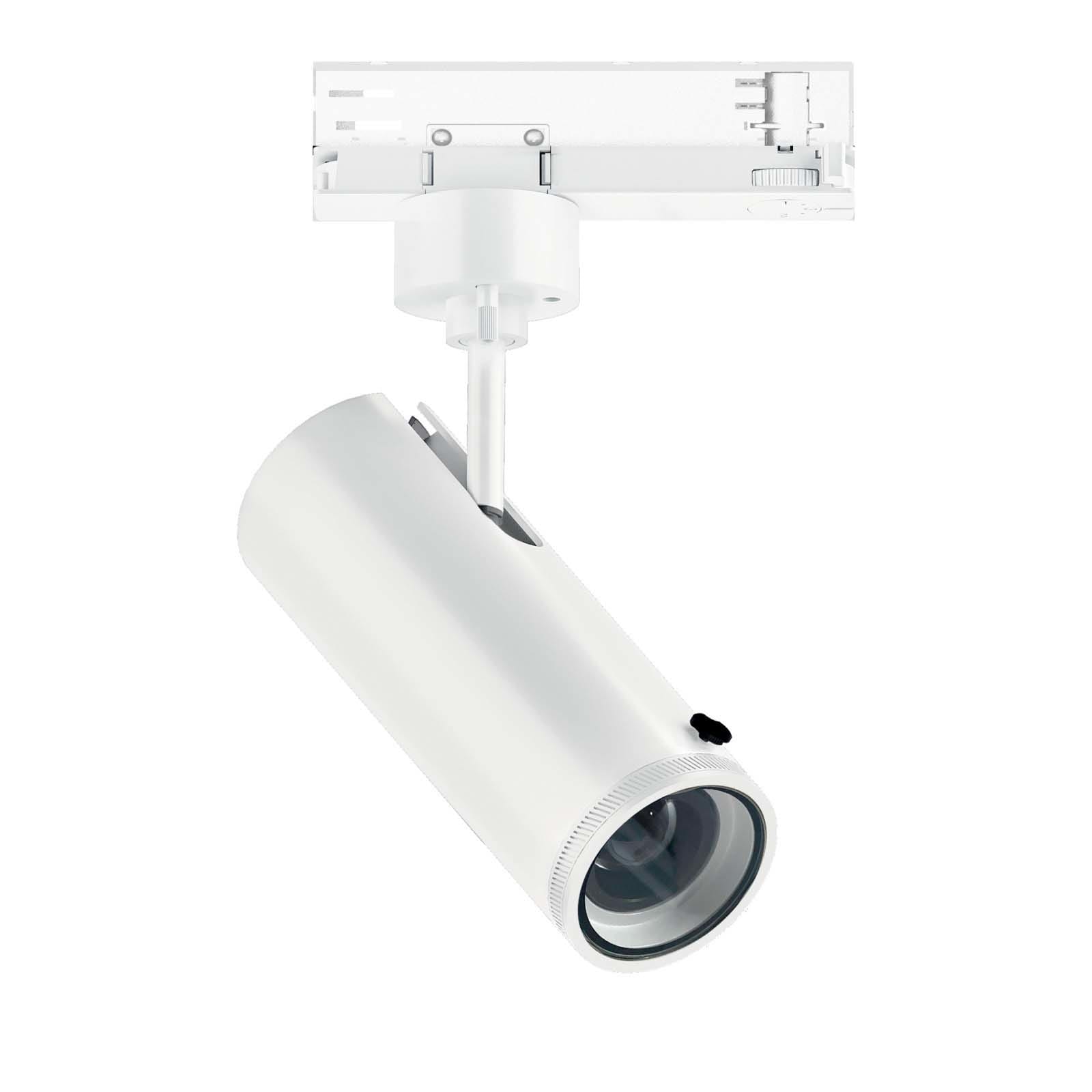 LINEA LIGHT (ILED) ILD82446W85 POUND FOC.14 1L 26WAC CRI98+DIM BG