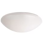 B.E.G. ITALIA SRL - BBH94405 COPPA IN VETRO DI RICAMBIO X L1 E HF-L1