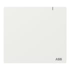 ABB SPA ABB2CKA006200A0871 SYSTEM ACCESS POINT 3.0