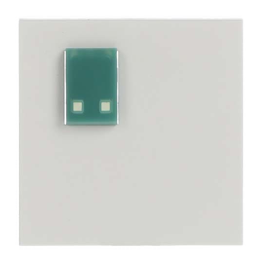 ABB SPA ABB2CSH240915R2014 88881H3N PLACCA PER PULS. VERDE ANTIB.
