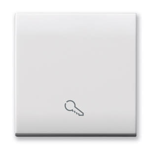 AVE - AVE441TKP/2 TASTO SIMBOLO CHIAVE ILLU. DOMUS 2M