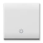 AVE - AVE441TLP/2 TASTO SIMBOLO LAMPADA ILL. DOMUS 2M