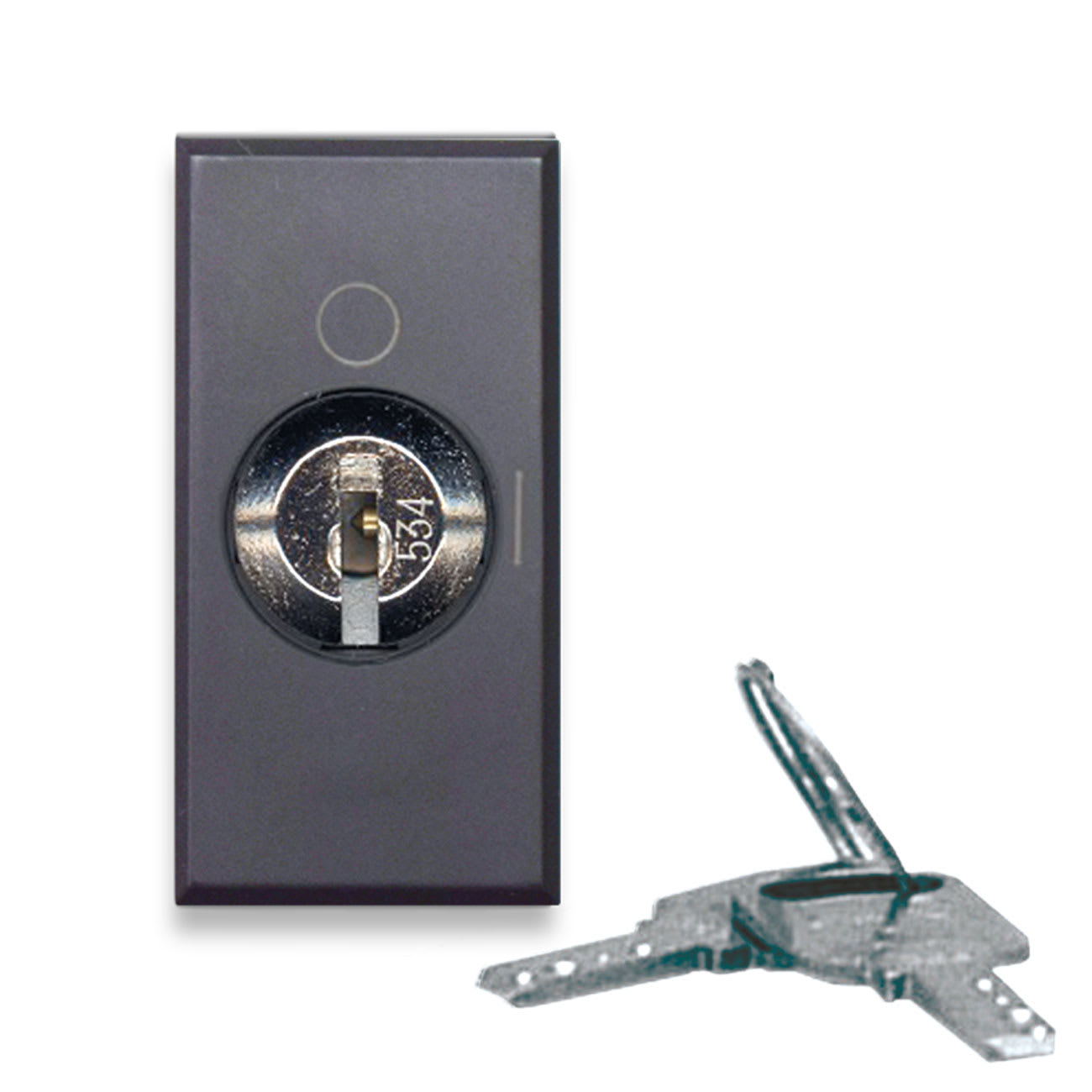 AVE - AVE445075 PULSANTE CHIAVE 2P NA 10A TEKLA 1M