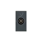 AVE AVE45396MN PRESA TV SAT DIR IEC MASCHIO NOIR