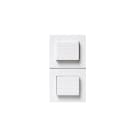 AVE AVE45B55 DOPPIO PULSANTE NA 1P 10A BANQ