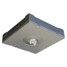 LINERGY SRL - LENA307 KIT IP65 GRIGIO INSTA. SOFFITTO VIALED I